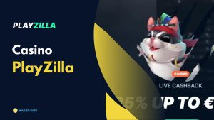 Review of PlayZilla Casino